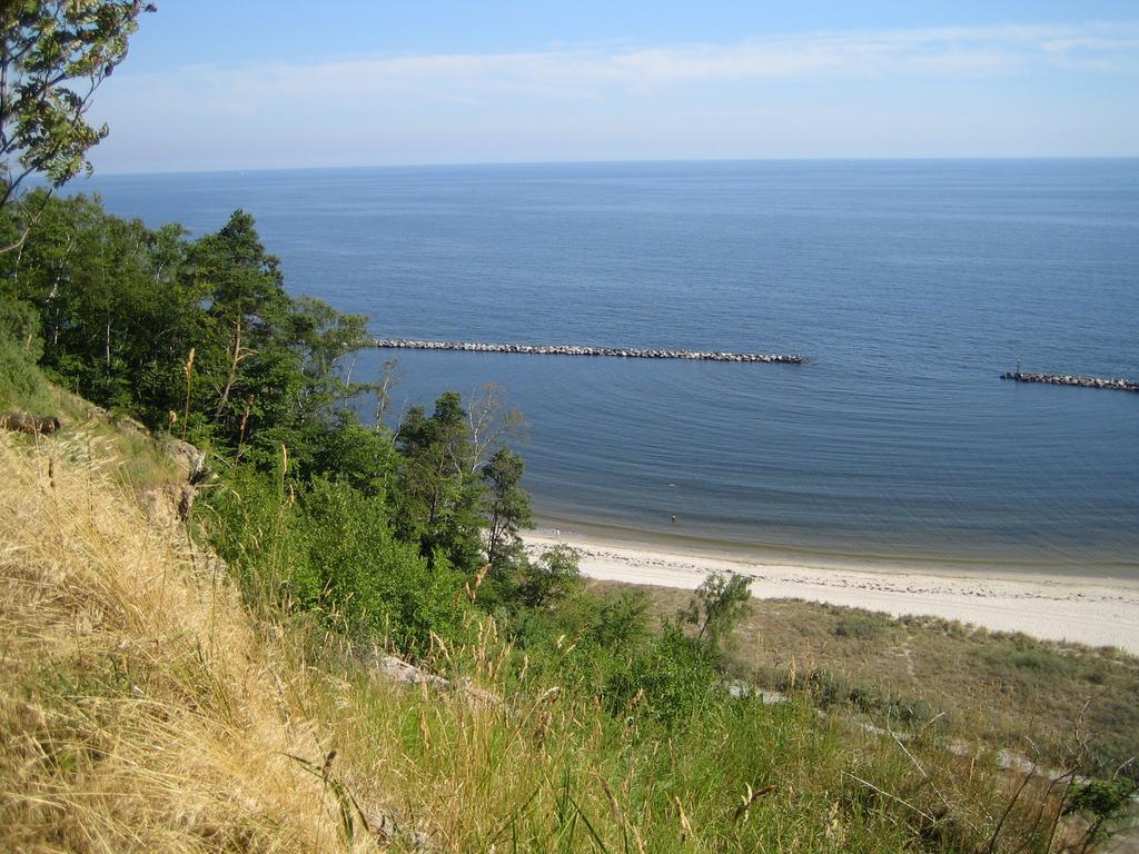 Am Kuestenwald Koserow Exteriör bild